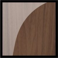 finish-wp-e1698052169627-300×300